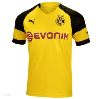 Borussia Dortmund - Ajax Amsterdam: Typy, kursy (03.11.2021)