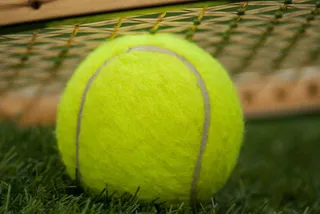 ATP Madryt: Hurkacz - Davidovich (typy, kursy)
