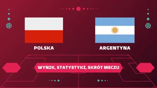 Polska - Argentyna: Wynik, Statystyki, Skrót meczu