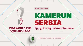 Kamerun - Serbia: Typy, kursy, zakłady (28.11.2022)