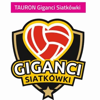 TAURON Giganci Siatkówki 2023: Terminarz, transmisje, wyniki, drużyny