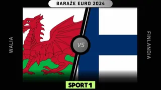 Walia – Finlandia Typy, Zapowiedź, Kursy 21.03.2024