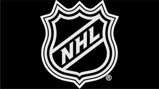 Tampa Bay Lightning - New York Rangers: analiza, typy (NHL, 29.12.2024)