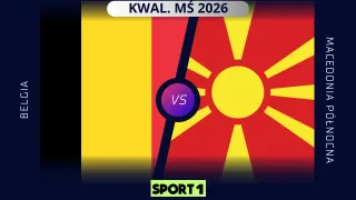 Belgia - Macedonia Północna: Typy. Kto wygra? (10.10.25)
