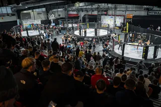 Ponad 500 walk w dzień. Organizatorzy 15. Mistrzostw MMA ujawnili statystyki!