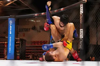 Rekordowe zainteresowanie Mistrzostwami MMA! Trzy klatki nie wystarczyły