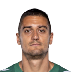 Nemanja Nedić