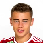 Erik Kusnyír
