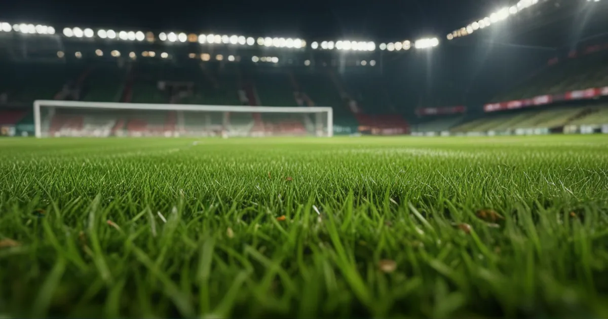 1. FSV Mainz 05 - FC Bayern München: Typy bukmacherskie