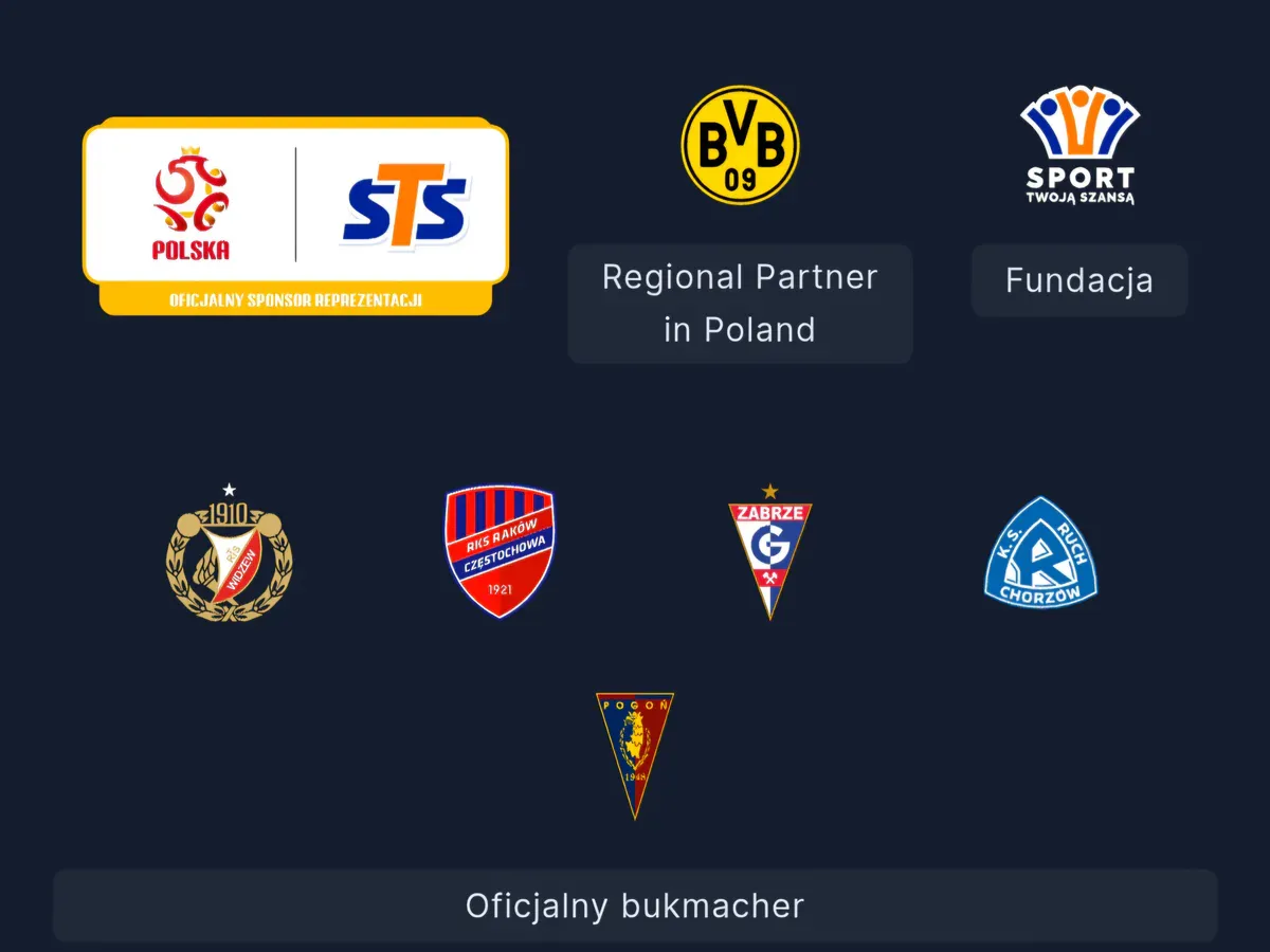 STS sponsorem Górnika Zabrze! (Fot.: STS.pl)