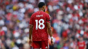 85 milionów funtów na stole. Cody Gakpo dał zielone światło na hitowy transfer
