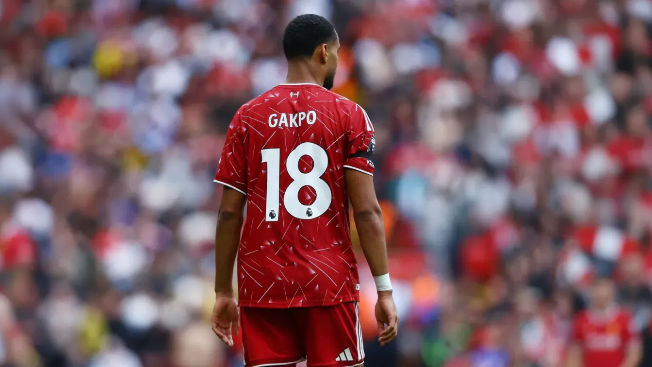 85 milionów funtów na stole. Cody Gakpo dał zielone światło na hitowy transfer
