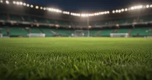 Austin FC - Los Angeles FC: Typy bukmacherskie