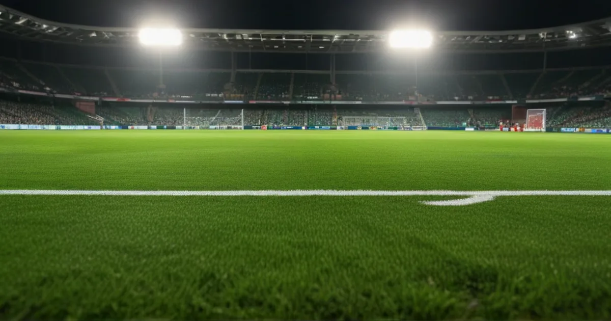 AVS - Futebol SAD - Estoril Praia: Typy bukmacherskie
