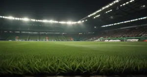 Brentford - Brighton & Hove Albion: Typy bukmacherskie