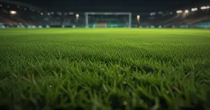 Brentford - Fulham: Typy bukmacherskie