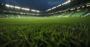 Brighton & Hove Albion - Nottingham Forest: Typy bukmacherskie