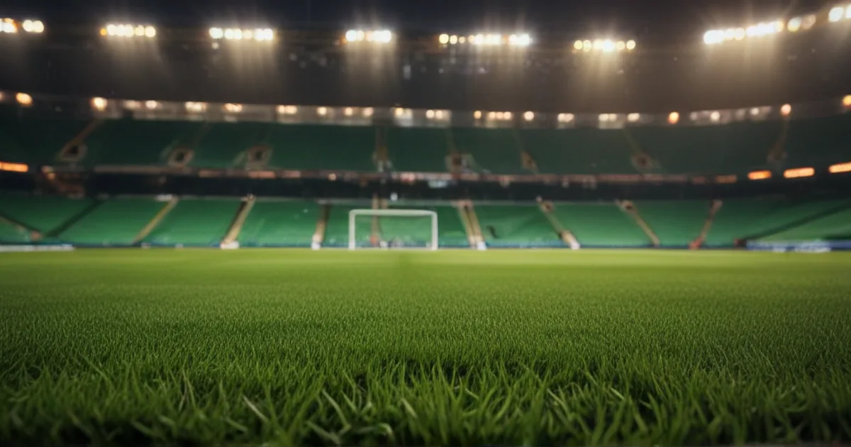 Brighton & Hove Albion - Wolverhampton: Typy bukmacherskie