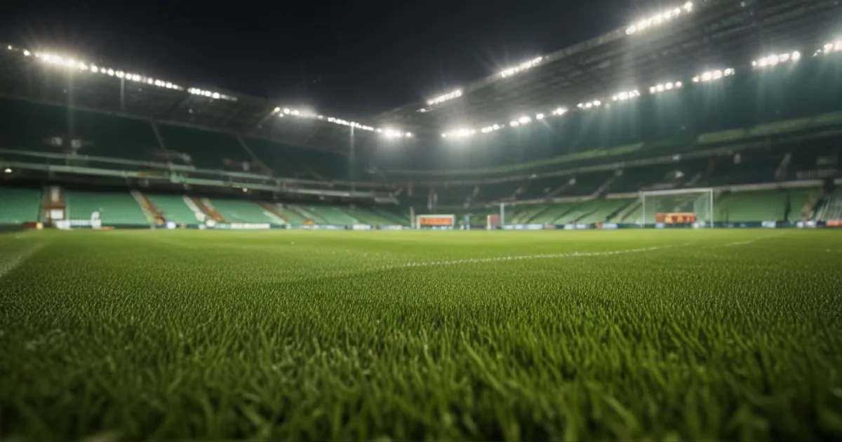CD Nacional - AVS - Futebol SAD: Typy bukmacherskie