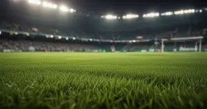 Chicago Fire - FC Cincinnati: Typy bukmacherskie