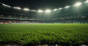 Crystal Palace - Newcastle United: Typy bukmacherskie