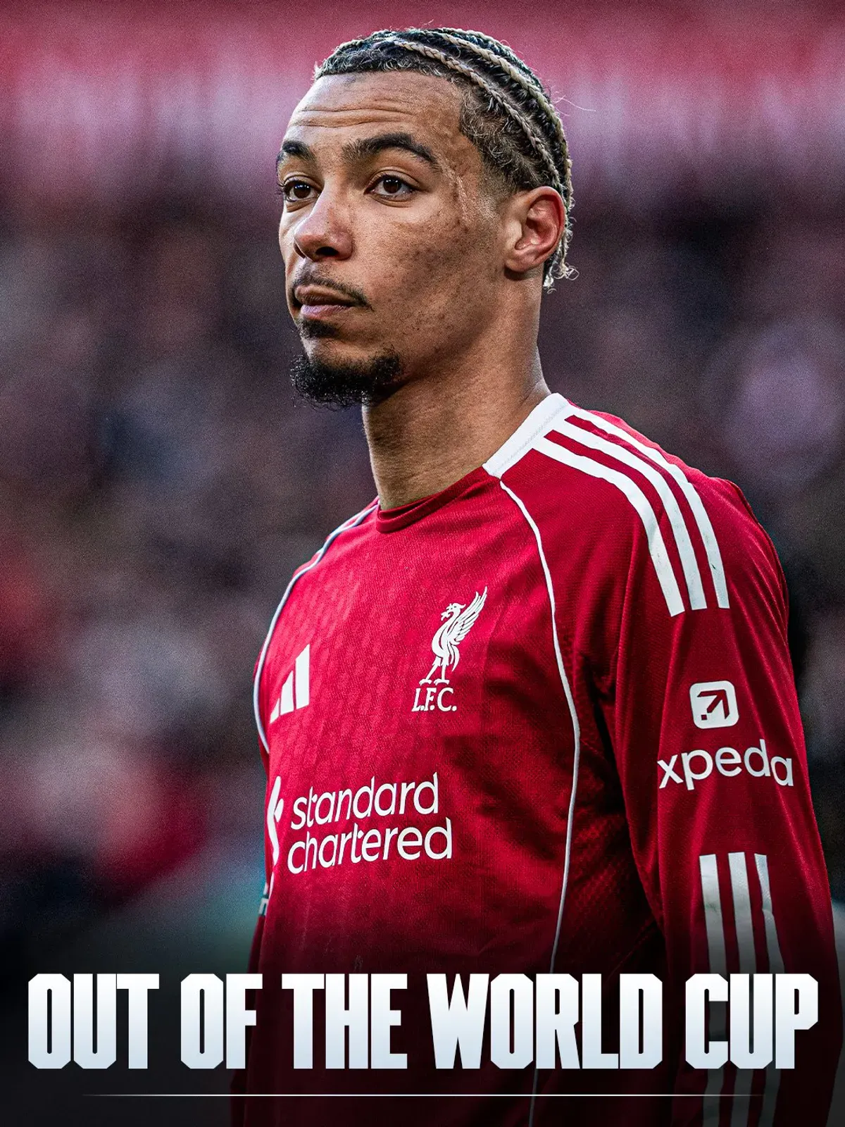 Dramat gwiazdora Liverpoolu. Hugo Ekitike nie pojedzie na mistrzostwa świata