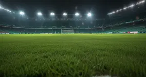 Excelsior - SC Heerenveen: Typy bukmacherskie