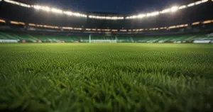 FC Cincinnati - Toronto FC: Typy bukmacherskie