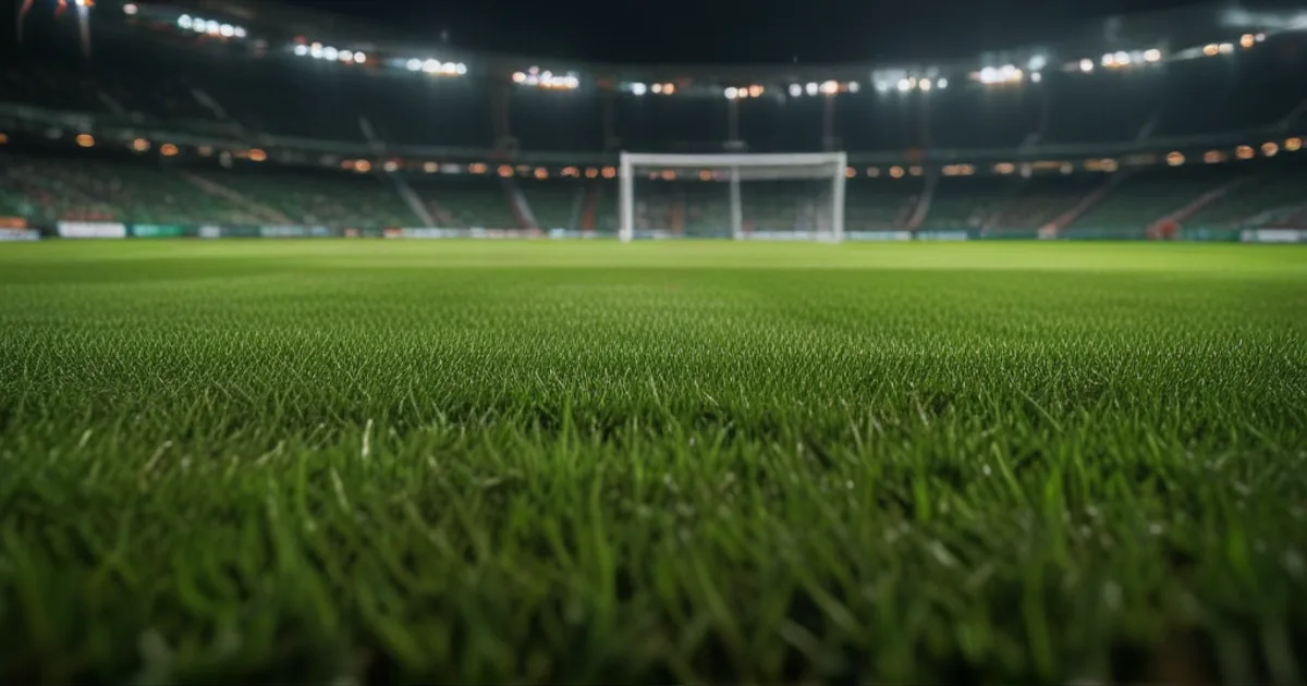 FC Groningen - Excelsior: Typy bukmacherskie