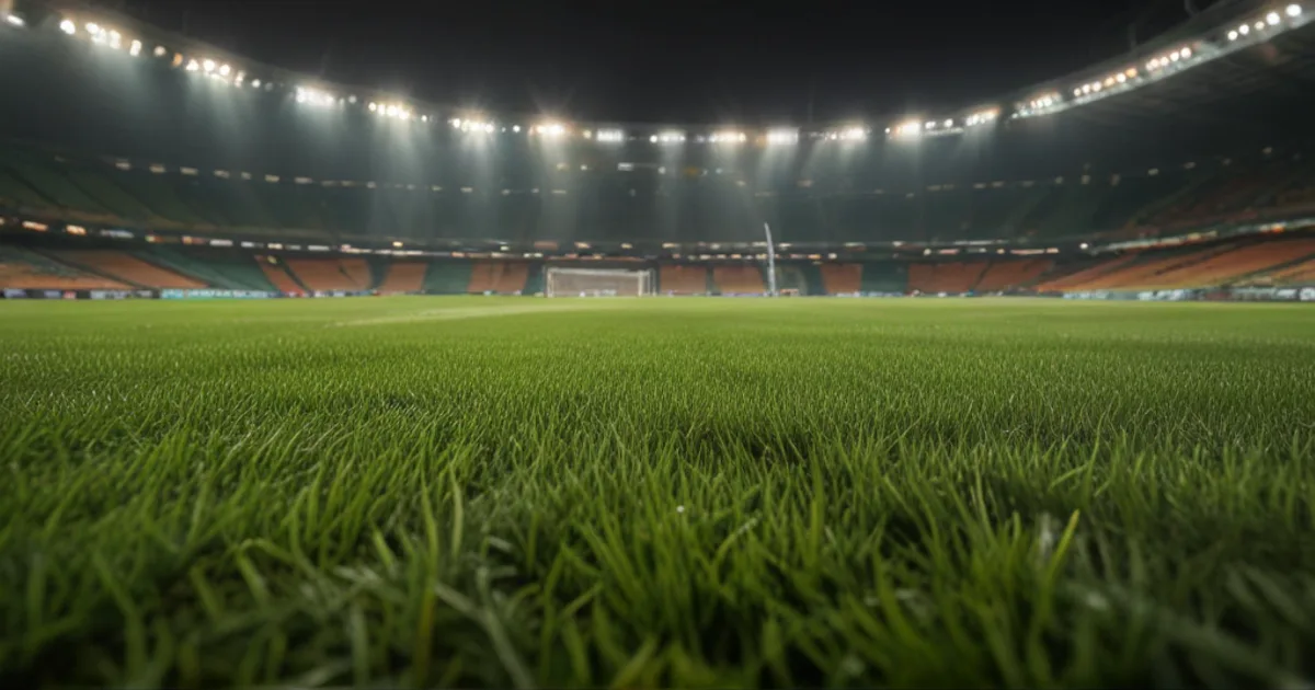 FC Universitatea Cluj - Dynamo Kyiv: Typy bukmacherskie