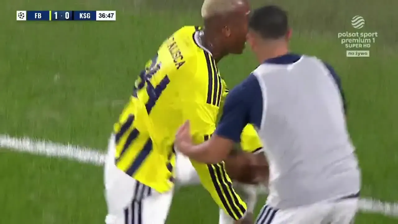 Fenerbahçe - Górnik Zabrze