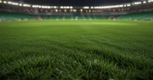 FK Vojvodina - Ajax: Typy bukmacherskie
