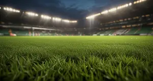 Fulham - Bournemouth: Typy bukmacherskie