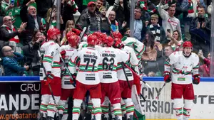 GKS Tychy o krok od złota, Zagłębie z pierwszym medalem od 36 lat