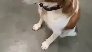 Hakimi zatrzymany przez ochronę. Nie uwierzycie, co miał w torbie!