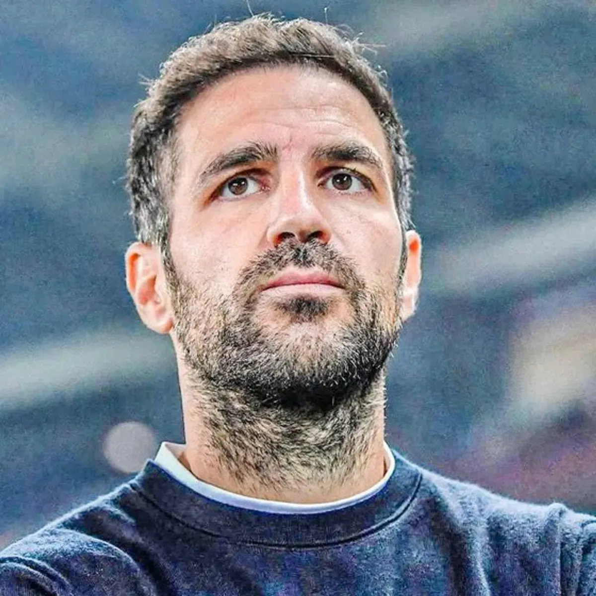 Historyczny sukces Como. Cesc Fabregas i jego zespół zagrają w europejskich pucharach