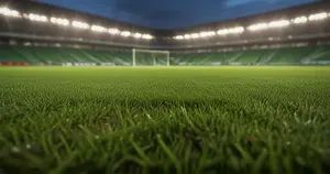 Houston Dynamo - DC United: Typy bukmacherskie