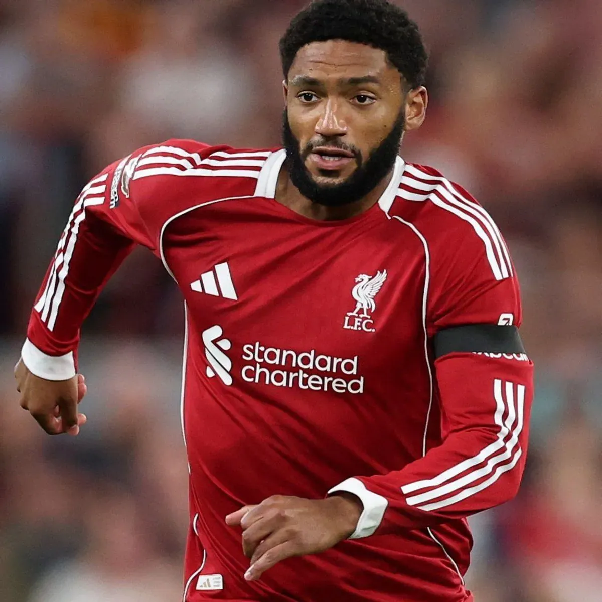 Joe Gomez na celowniku AC Milan. Włosi faworytami do transferu