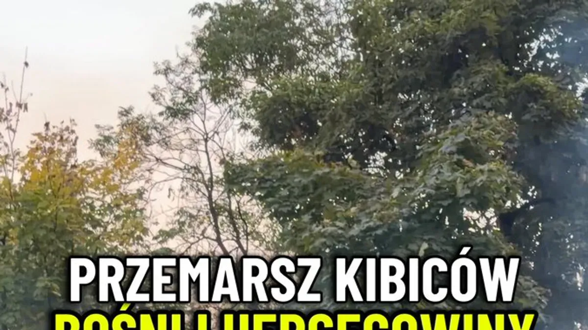 Kibice bośni i hercegowiny transmisja online