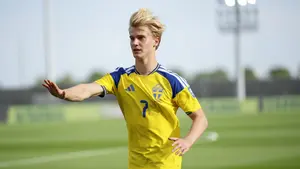 Lucas Bergvall na celowniku ligowego rywala. Tottenham wyznaczył cenę: 60 milionów funtów