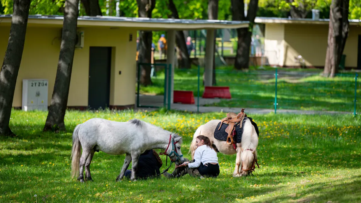 Majówka na Torze Służewiec. Organizatorzy przygotowali masę atrakcji. Wstęp wolny!