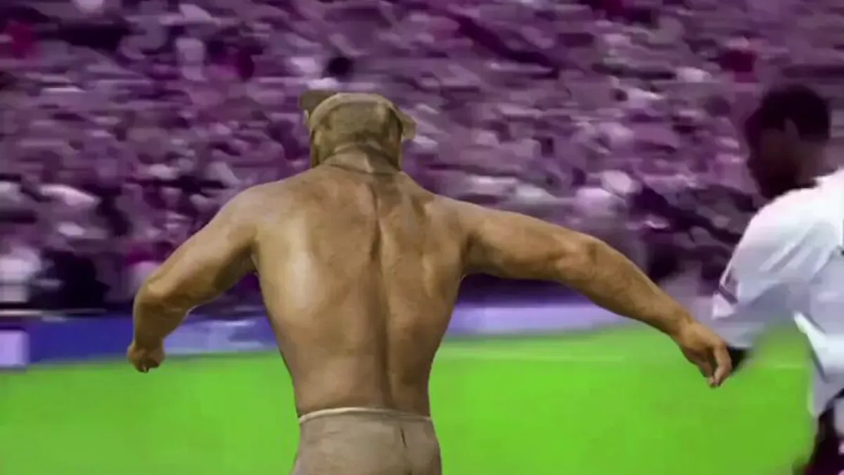 Mój pies po obejrzeniu ze mną 82 meczów mundialu w 21 dni