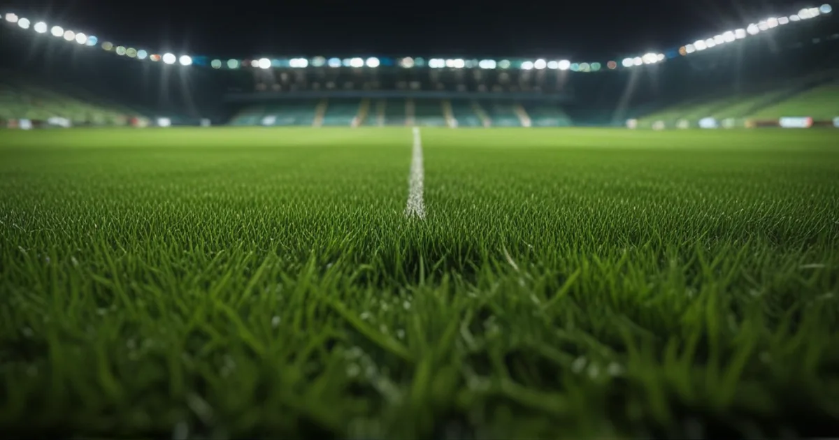 NEC Nijmegen - Olympiacos: Typy bukmacherskie