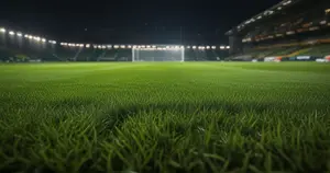 Newcastle United - West Ham United: Typy bukmacherskie