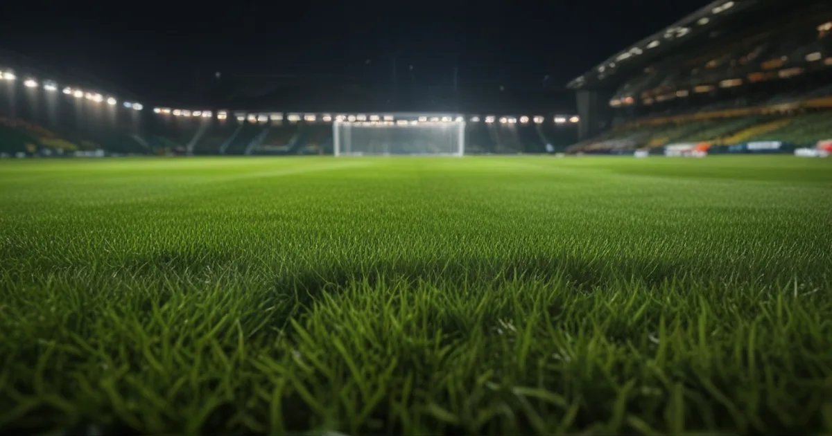 Newcastle United - West Ham United: Typy bukmacherskie