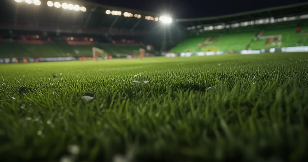 Nottingham Forest - Bournemouth: Typy bukmacherskie