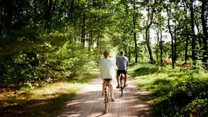 Od szutrów po leśne dukty - jak przygotować się do jazdy rowerem w terenie