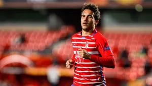 Luis Milla