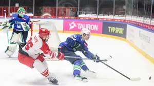 Ostatni sprawdzian przed MŚ. Polska zagra z Francją!