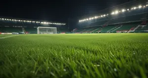 Parma - Cagliari: Typy bukmacherskie